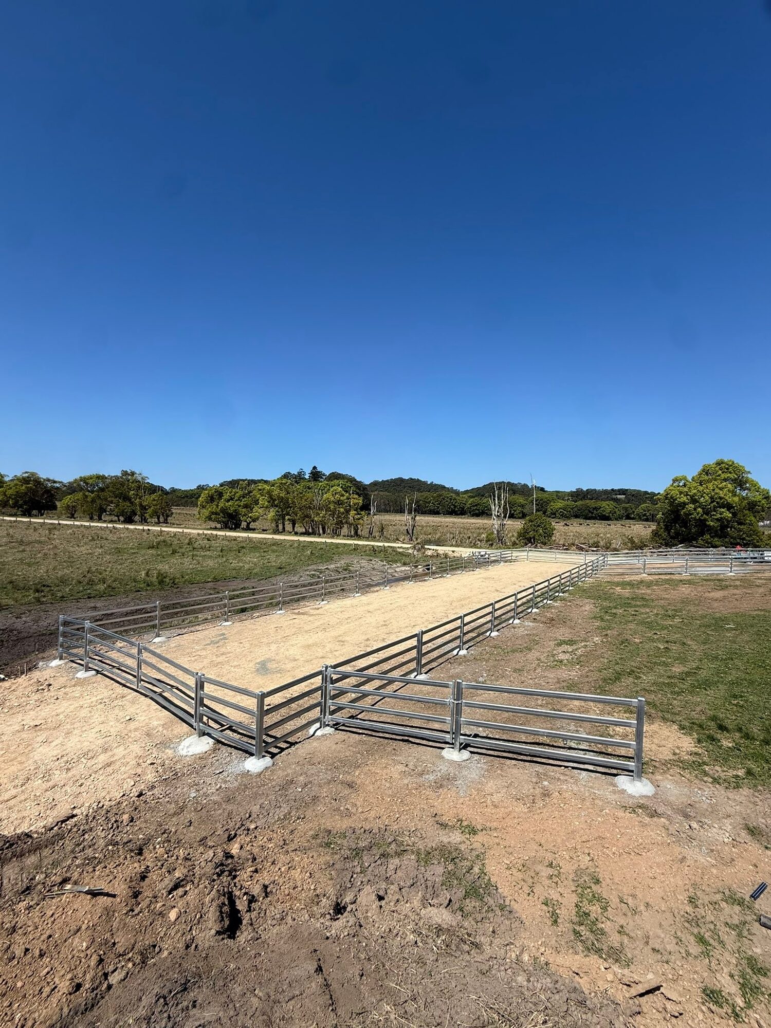 New cattle laneway and holding yards built on site